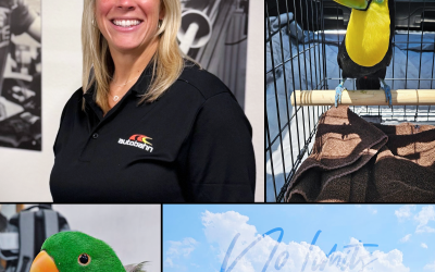 Heide Mcgee Joins Autobahn as Dealer Success Manager